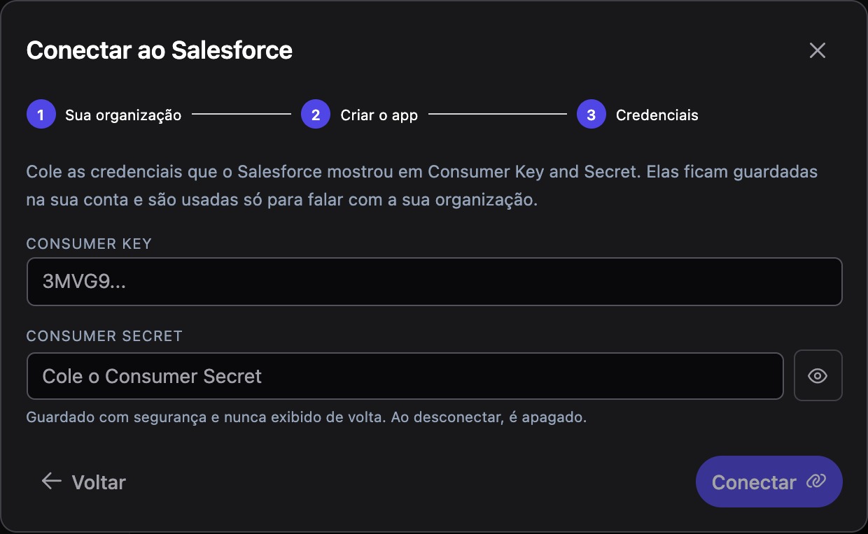 Passo 3 do assistente: Consumer Key e Consumer Secret